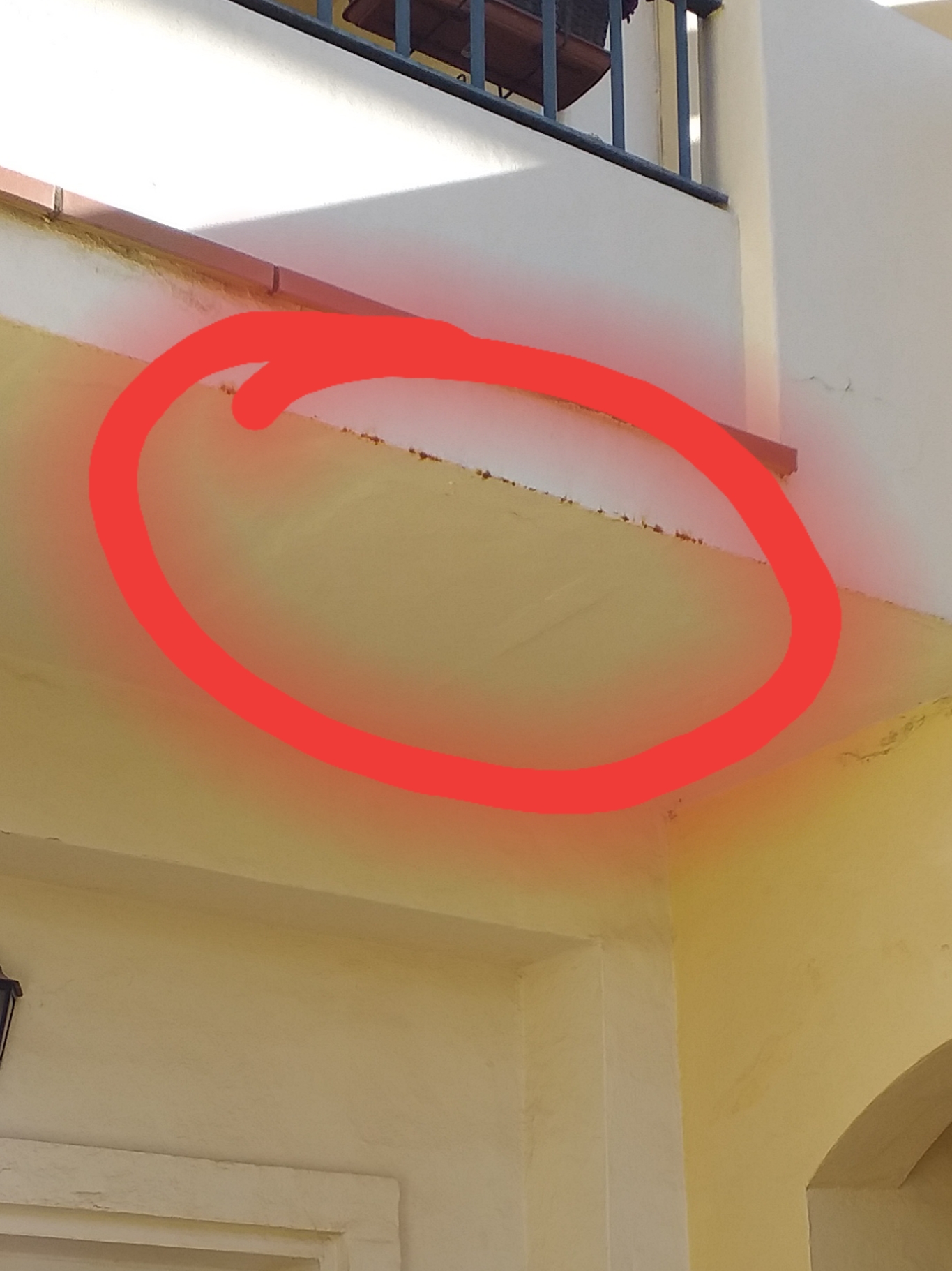 Can anyone recommend: Builder to find and repair source of leak on terrace.